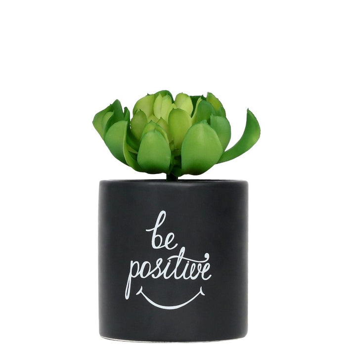 Be Positive pot plant, Pot plant-[ Projectgenz][Daretodreamshop]