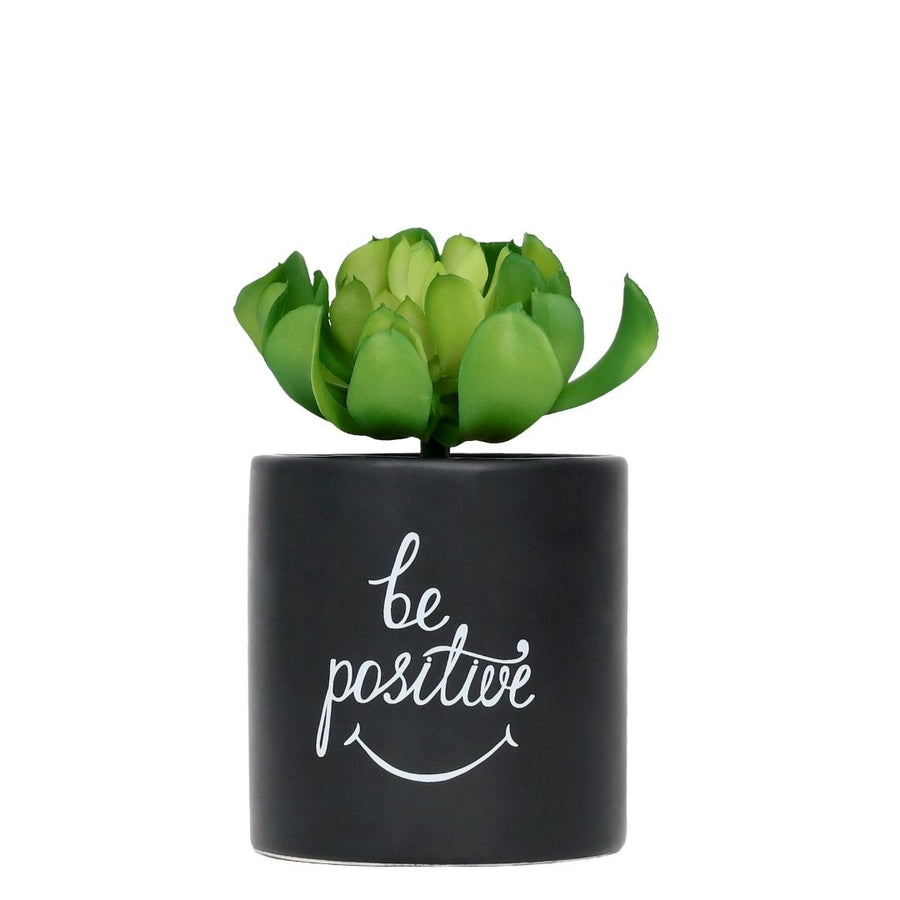 Be Positive pot plant, Pot plant-[ Projectgenz][Daretodreamshop]